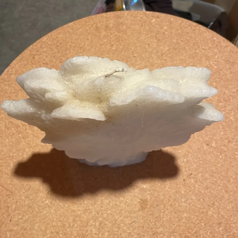 Pottery barn coral candle